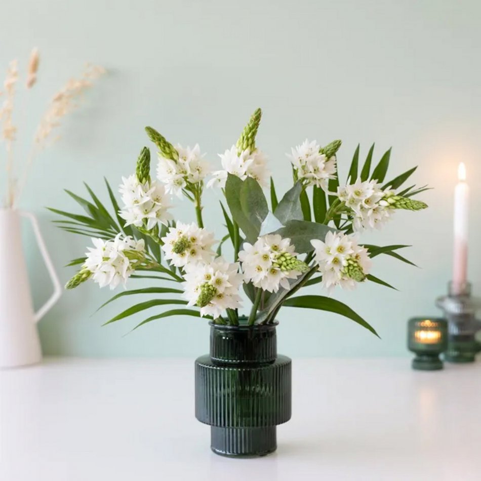 Sereen Brievenbusbloemen